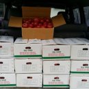 영준농장 이미지