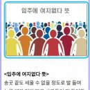 예술의전당 11시콘서트 이미지