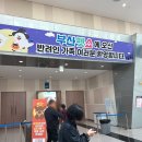 내새끼 펫 | 2025 부산펫쇼 직접 다녀온 방문후기