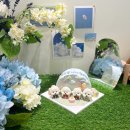 디어 마이 독 이미지