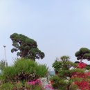 라성관광농원 이미지