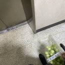 봉숙이막창뒷고기