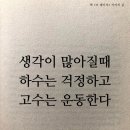 군집 | 5년차 정기검진을 앞두고 미세석회 군집발견 조직검사 후기 및 결과