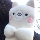 알포카