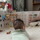 금일제일어린이집 | 2026년 하반기부터 달라지는 정부지원 총정리, 놓치면 아까운 혜택만 모았습니다!(워킹맘 주목!)