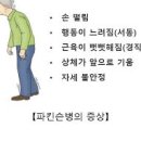 파킨슨병 초기 원인 파킨슨 증후군 수명 이미지