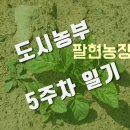 팔현농장 이미지