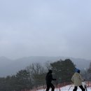비발디파크 렌탈샵 추천 강습 가능한 캐럿하우스 리프트권 패키지 후기