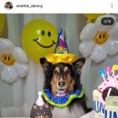 멍멍이츠 이미지