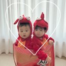 아기 600일 셀프촬영 모모데이,새우깡컨셉 후기