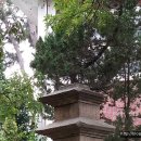 군산중학교 이미지