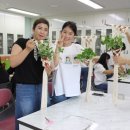 솔샘초등학교 이미지