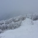 구름발치 이미지