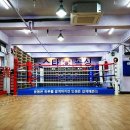 스타 복싱 다이어트 이미지