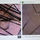 대전롯데 헤드 네이버블로그