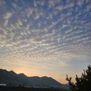 사랑마실 이미지