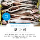 주식회사 타이거에스에프 네이버블로그