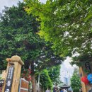 동국사 관광안내소 이미지