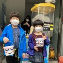 벨라뮤직아카데미음악학원 이미지