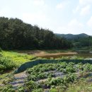 쪽제비동산 이미지