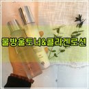 비바시너지