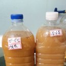 회석농장 이미지