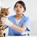 24시 연희동물의료센터 이미지