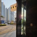 3929 | 일산 킨텍스 분위기 좋은 술집 | 제철요리바 서 | 내돈내산 3번째 재방문 후기 (주차 및 룸예약)