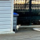 가천카써비스 | 경북 성주 가야산 펜션 포천 파크