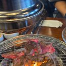 이디야커피역촌진흥로점 | [역촌동 맛집] 은평구 가성비 좋은 소갈비, 돼지갈비 맛집 양심소 역촌점 후기