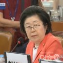 이은재 카카오 검색결과