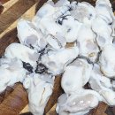 오뚜기냉동식품 노동조합 | 냉동굴 요리 레시피, 해동해서 매콤 굴전 및 굴짬뽕 초간단 만들기! 가성비 굿(ft. 진짬뽕, 트레이더스)