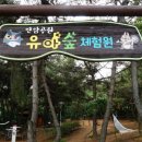 연암공원 유아숲체험원 이미지