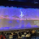 태권아리랑 이미지