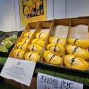 무인43 | 안양 동편마을 무인 과일가게 추천｜과일선생 솔직 후기