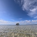 제호농장 | 행복했던 필리핀 보홀 여행 숙소 및 맛집 후기들