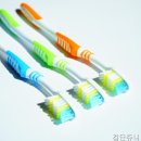 쥬니어치과의원 네이버블로그