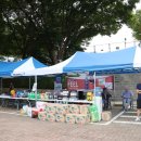 대기카포스 이미지