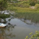 향기로운추억캠핑장 이미지