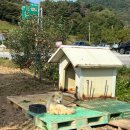 신평가든 이미지