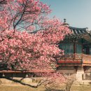 동작역 1번출구 앞 이미지