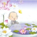 불설장수멸죄호제동자다라니경 이미지