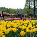 무릉도원올레 이미지