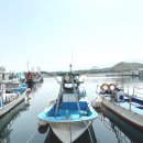 동우네 민박 이미지