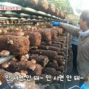 오늘도 푸른 한우농장 이미지