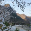 별의계곡 | 강원도계곡펜션 별의계곡펜션 서울근교계곡 찾는다면 7뤌여행지로 여기 추천!