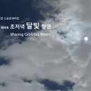하늘의 스포트라이트: 대전 태평동 초저녁 달빛 향연 | Waxing Gibbous Moon 이미지