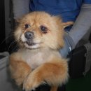 동대구역전시장 이미지