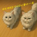 리버휠골프랜드 | 1박2일 골프 한탄강cc 및 한탄리버스파호텔 바베큐 이용후기