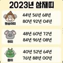 설우연 | 병가 중인 여자